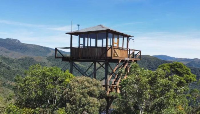 torre-florestal.jpg torre-florestal.jpg