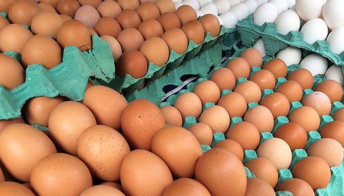 tripecuaria_home-luizagner.jpg tripecuaria_home-luizagner.jpg