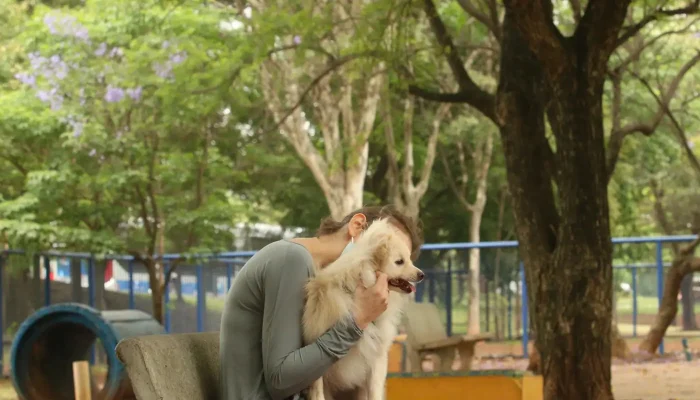 tutores_com_caes_no_parcao_espaco_exclusivo_para_cachorros_na_praca_ayrton_senna_do_brasil_rvsa_abr.webp