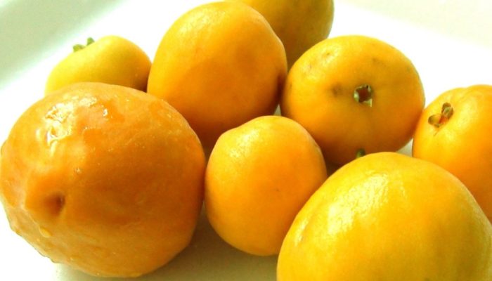 uvaia-fruta-alimento-vitamina.jpg uvaia-fruta-alimento-vitamina.jpg