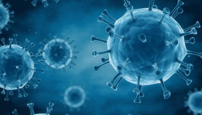 virus-hiv-20170523-0010.jpg virus-hiv-20170523-0010.jpg